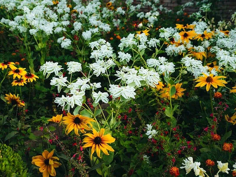 Altana ogrodowa jako idealne miejsce relaksu na świeżym powietrzu